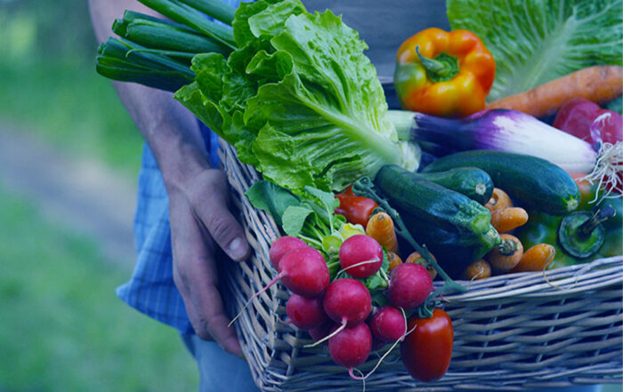 Cesto di frutta e verdura dell'orto